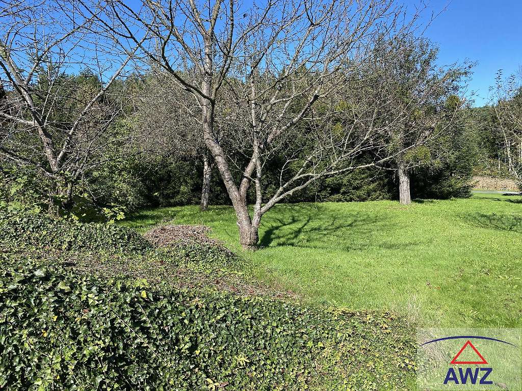  Land in Neudau, Austria No. 91845