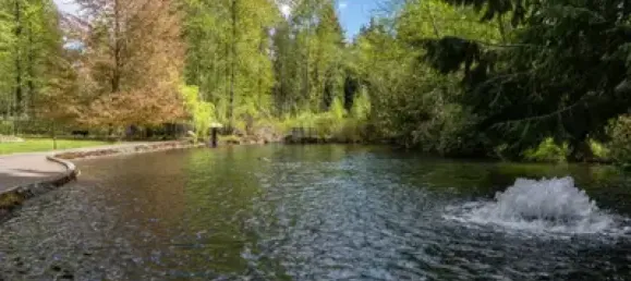 4 bedrooms House in Mission, Canada No. 1619 8