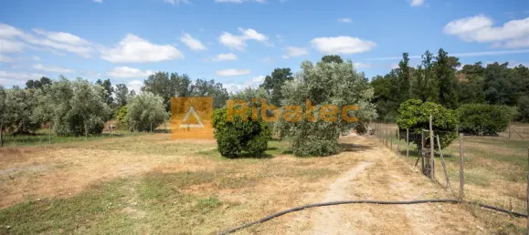 2 Schlafzimmer Haus in Coruche, Portugal, Nr. 223540 26