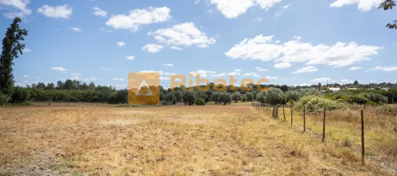 2 Schlafzimmer Haus in Coruche, Portugal, Nr. 223540 22