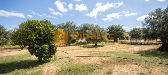 2 Schlafzimmer Haus in Coruche, Portugal, Nr. 223540 23