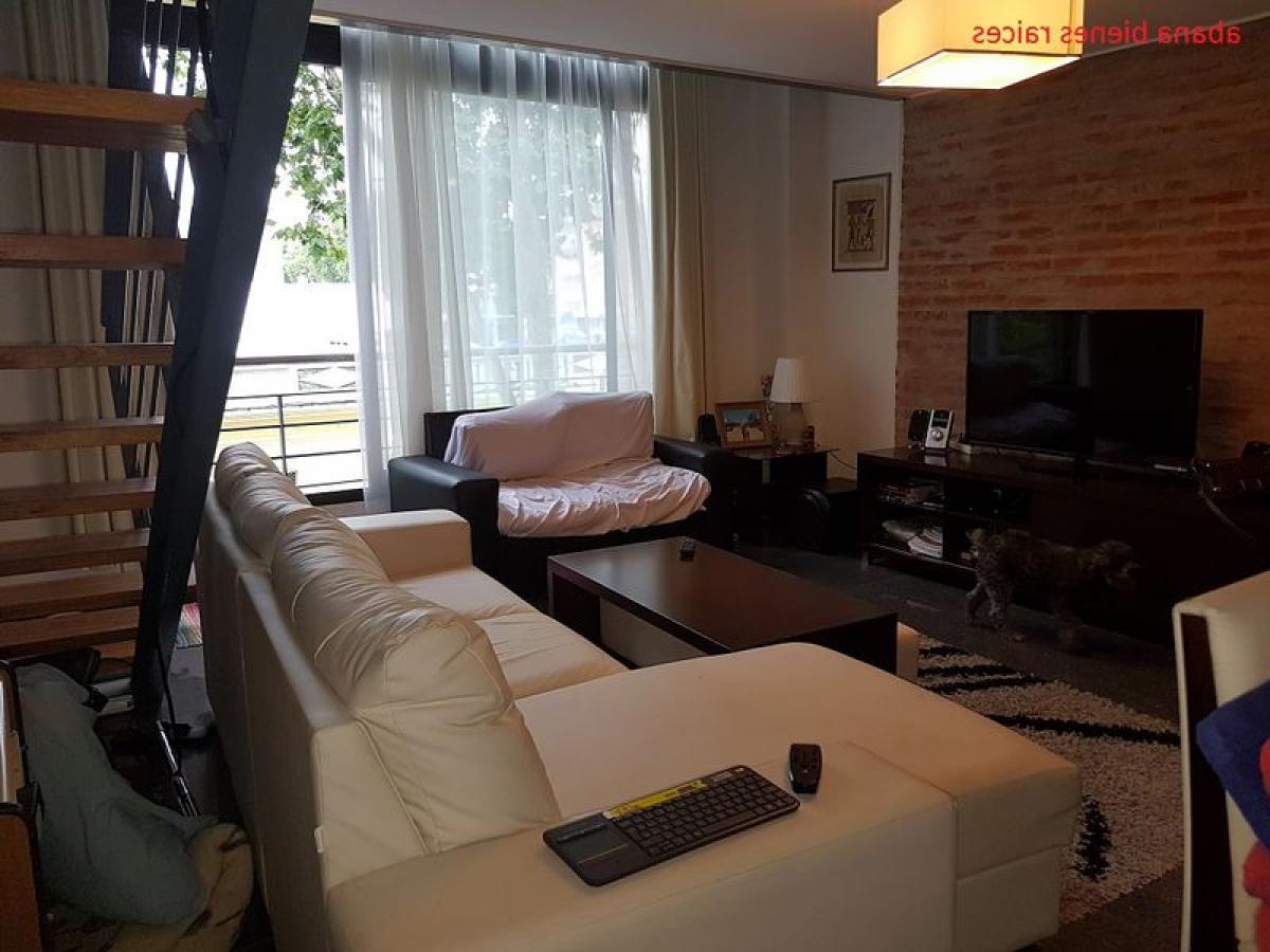 استوديو في Montevideo, Uruguay رقم 11754