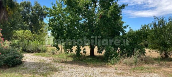 3 bedrooms House in Papozze, Italy No. 300542 28