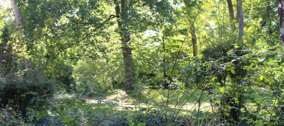 1 bedroom Apartment in Grunewald, Germany No. 245981 3