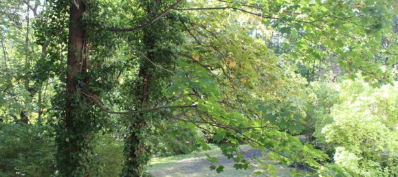 1 bedroom Apartment in Grunewald, Germany No. 245981 16