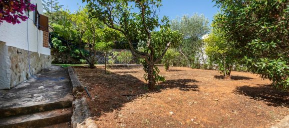 Casa T6 em Alicante, Spain N.º 154554 15