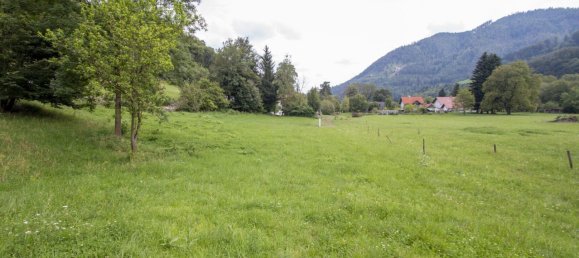 Terreno em Deutschfeistritz, Austria N.º 133960 3