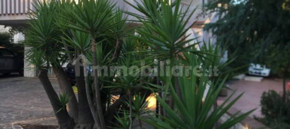 2 bedrooms Villa in Castellana Grotte, Italy No. 151371 20