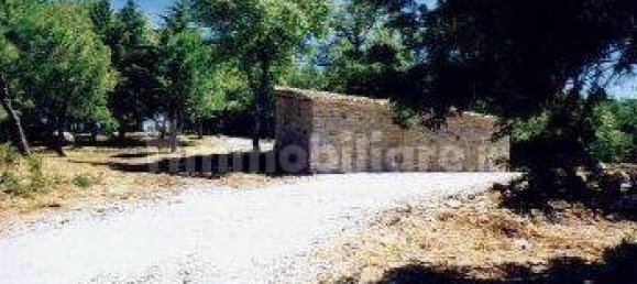 140000m² Land in Piegaro, Italy No. 119484 3