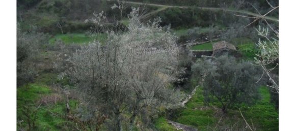 1 bedroom House in Proenca a Nova, Portugal No. 183870 23