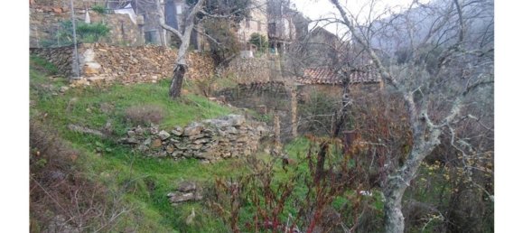 1 bedroom House in Proenca a Nova, Portugal No. 183870 10