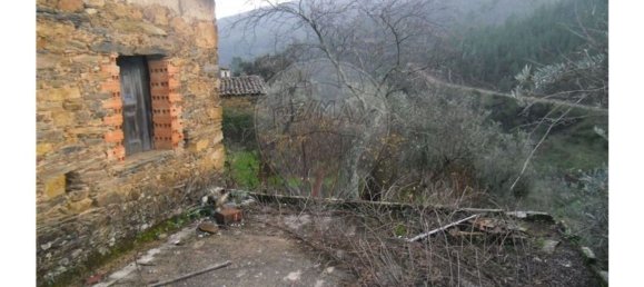 1 bedroom House in Proenca a Nova, Portugal No. 183870 8