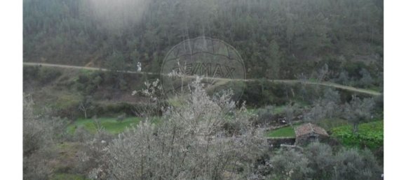 1 bedroom House in Proenca a Nova, Portugal No. 183870 18