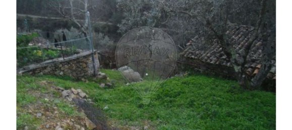 1 bedroom House in Proenca a Nova, Portugal No. 183870 16