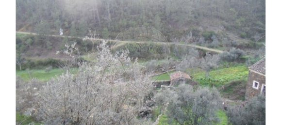 1 bedroom House in Proenca a Nova, Portugal No. 183870 19