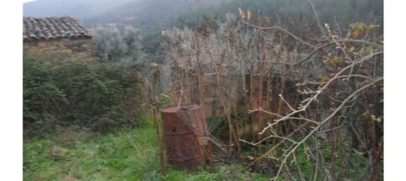 1 bedroom House in Proenca a Nova, Portugal No. 183870 12