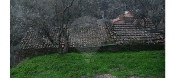 1 bedroom House in Proenca a Nova, Portugal No. 183870 15