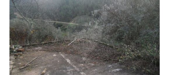 1 bedroom House in Proenca a Nova, Portugal No. 183870 9