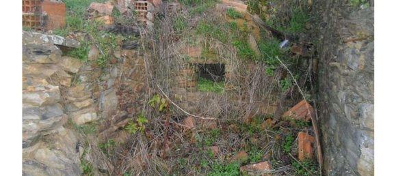 1 bedroom House in Proenca a Nova, Portugal No. 183870 14