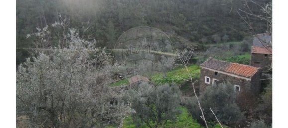 1 bedroom House in Proenca a Nova, Portugal No. 183870 17