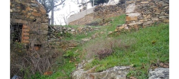 1 bedroom House in Proenca a Nova, Portugal No. 183870 11