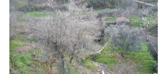 1 bedroom House in Proenca a Nova, Portugal No. 183870 24