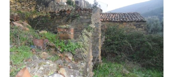 1 bedroom House in Proenca a Nova, Portugal No. 183870 13