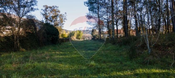 12 bedrooms House in Vila Verde, Portugal No. 85546 17