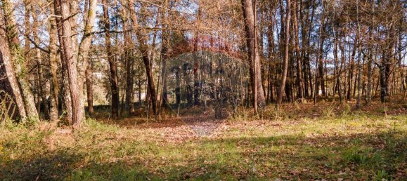 12 bedrooms House in Vila Verde, Portugal No. 85546 15