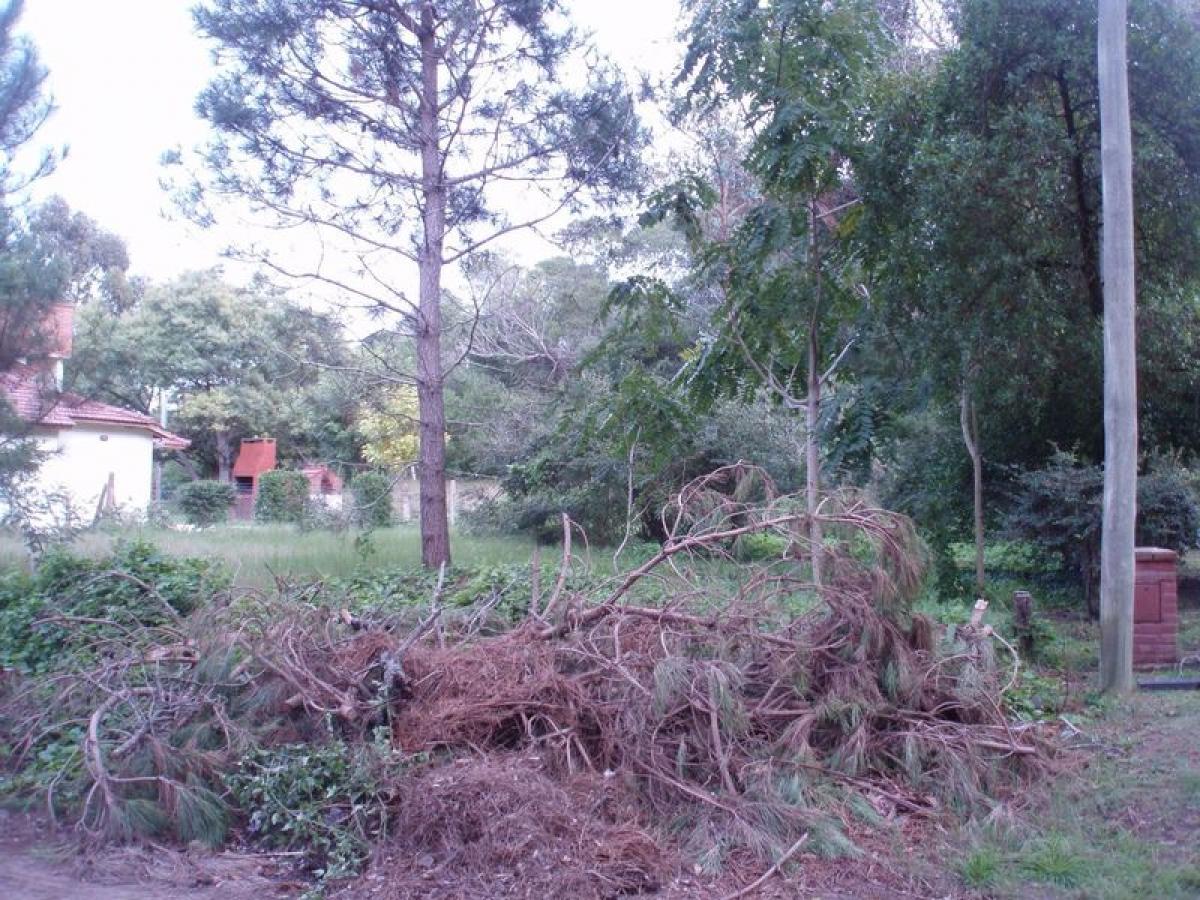  قطعة أرض في Mar del Plata, Argentina رقم 115745