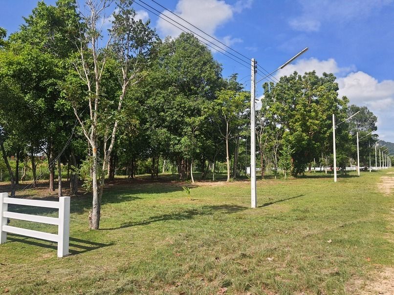 Grundstück in Pattaya, Thailand 4800m², Nr. 73362