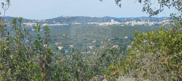 11240m² Land in Faro, Portugal No. 32628 4