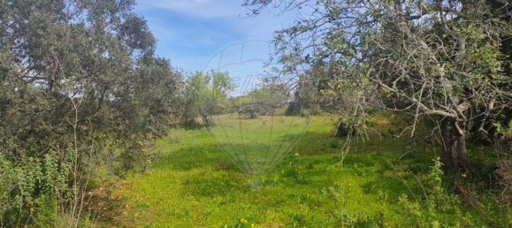 11240m² Land in Faro, Portugal No. 32628 3
