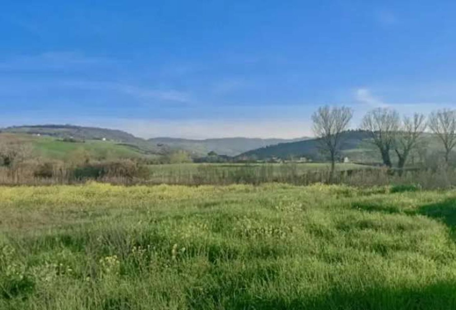  Land in Fermo, Italy No. 362814