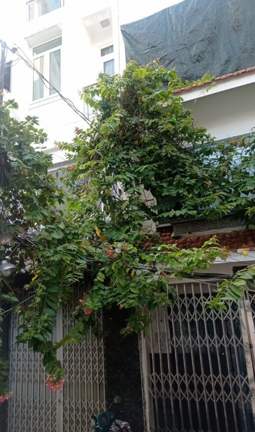 48m² House in District 1, Vietnam No. 13063