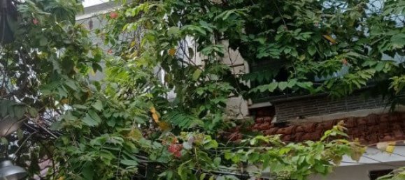 48m² House in District 1, Vietnam No. 13063 2