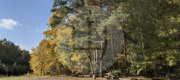 3غرفة قطعة أرض في Potsdam-Mittelmark, Germany رقم 294200 2