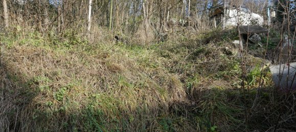 3 rooms Townhouse in Calw, Germany No. 3084 6