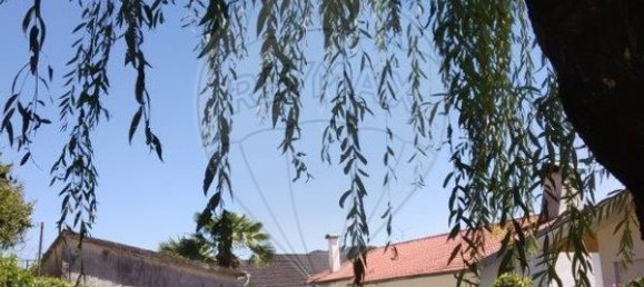 6 chambres Maison à Vila Pouca de Aguiar, Portugal No. 169432 20