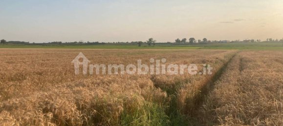 2694m² Land in Garbagna Novarese, Italy No. 153335 3