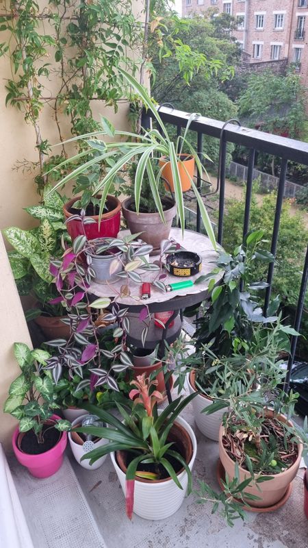 1 chambre Appartement à Paris, France No. 181573