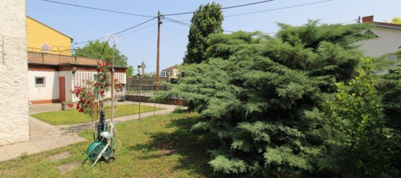 Дом с 8 комнатами в Дрёзинг, Австрия № 170348 20