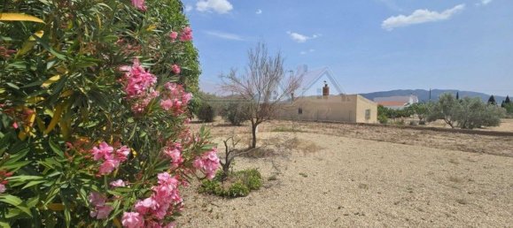 Дом с 3 спальнями в Салинас, Испания № 149417 30