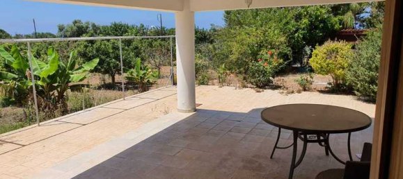 Propiedad comercial de 6 dormitorios en Chloraka, Cyprus No. 81318 6