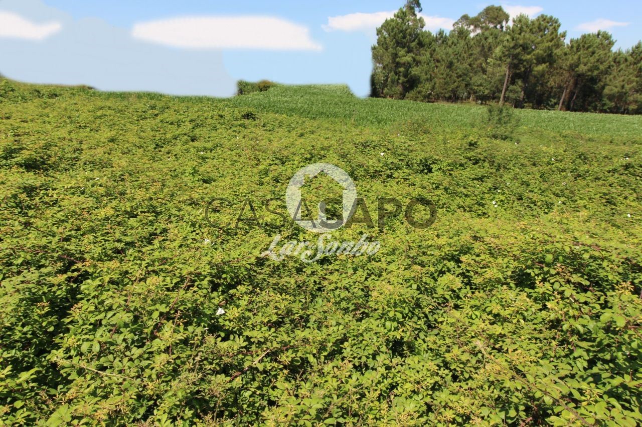 Terreno em Barqueiros, Portugal N.º 325991