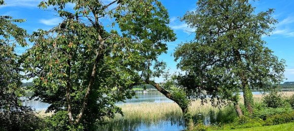 Terrain à Mattsee, Austria 1125m² No. 198973 4