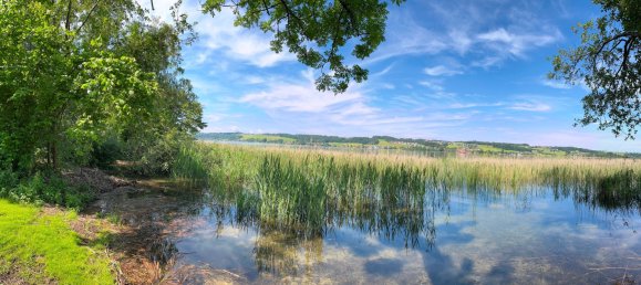 Terrain à Mattsee, Austria 1125m² No. 198973 3