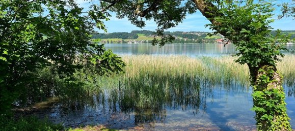 Terrain à Mattsee, Austria 1125m² No. 198973 5