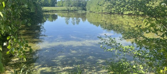 Grundstück in Erlangen-Höchstadt, Germany, Nr. 313276 7