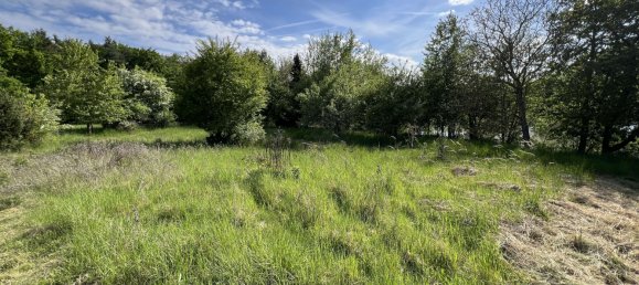 Grundstück in Erlangen-Höchstadt, Germany, Nr. 313276 5